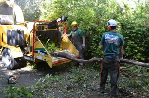 tree services Harristown